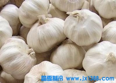 大蒜冷库价格